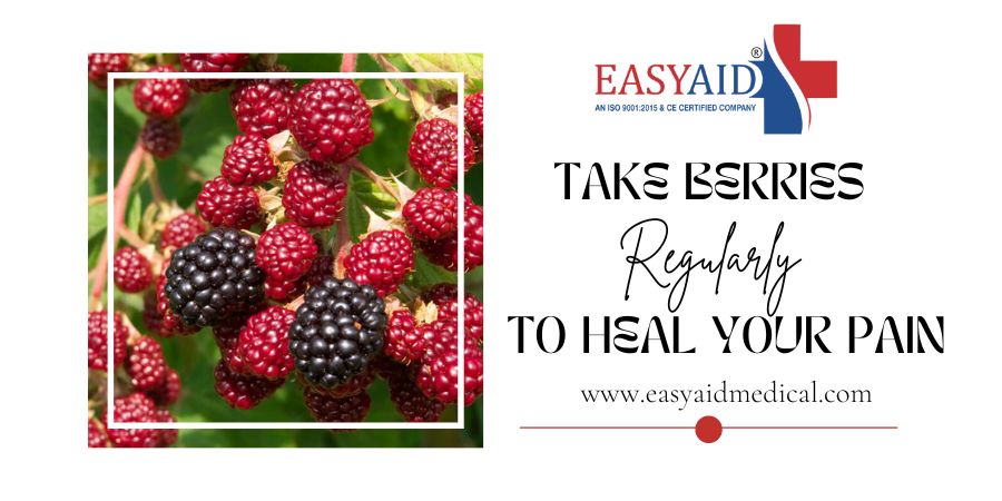 take-berries-regularly-to-heal-your-pain