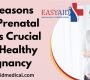 05 Reasons Why Prenatal Care is Crucial for a Healthy Pregnancy 90x80