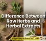 Difference Between Raw Herbs and Herbal Extracts 90x80