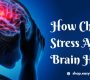 How Chronic Stress Affects Brain Health 90x80
