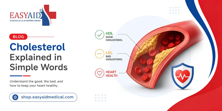 Cholesterol Explained in Simple Words